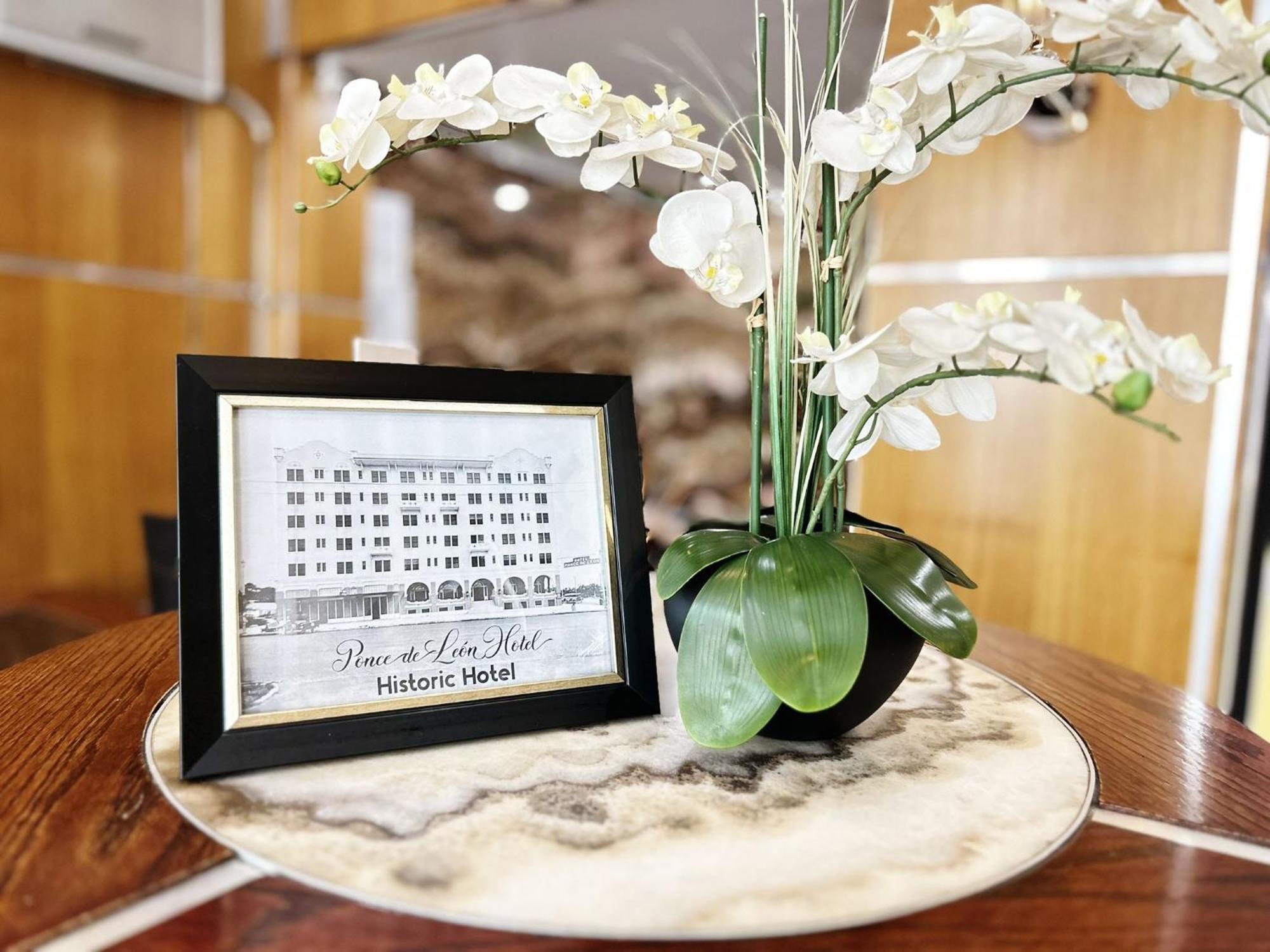 庞塞德莱昂酒店 圣彼得堡 外观 照片